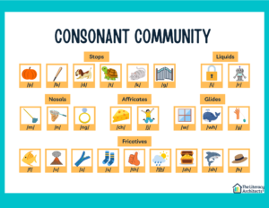 consonant community